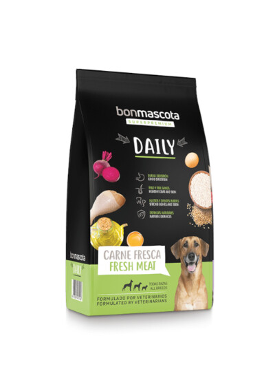 BonmAscota DAILY