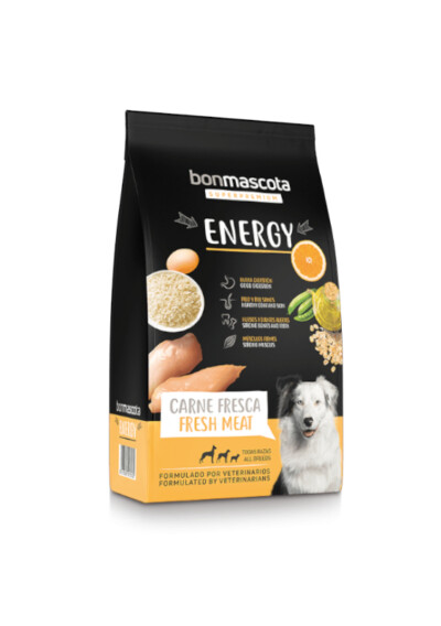 BonmAscota Energy