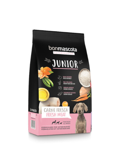 BonmAscota Junior