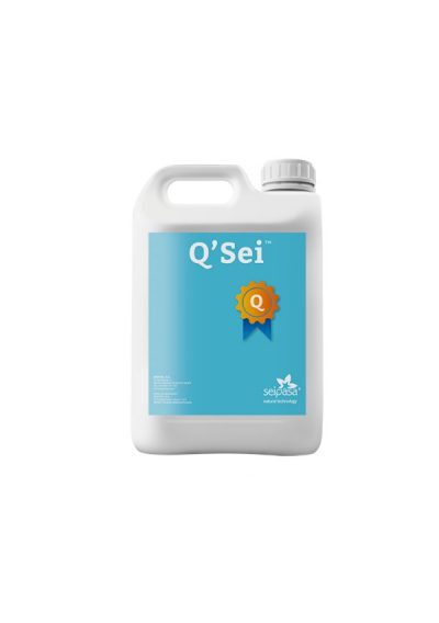 Q`SEI