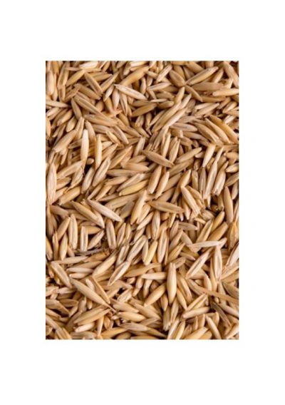 AVENA