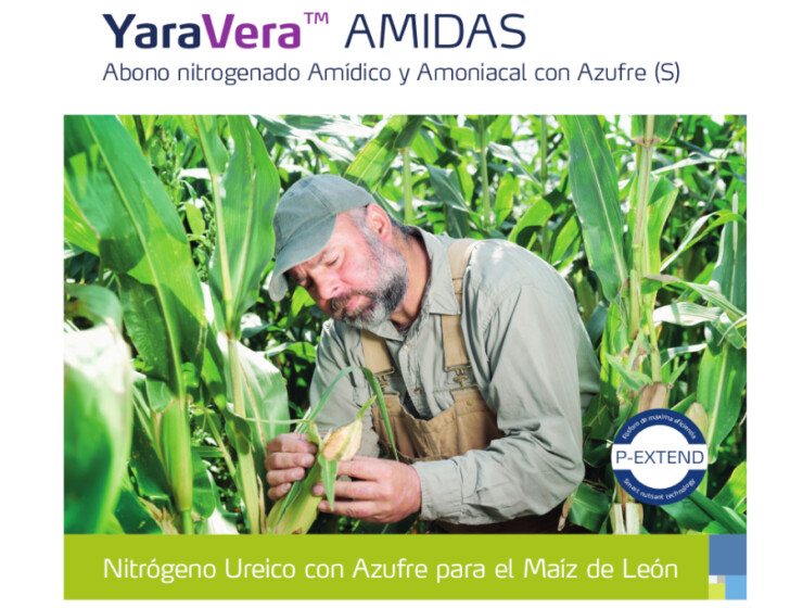 Promoción YaraVera Amidas