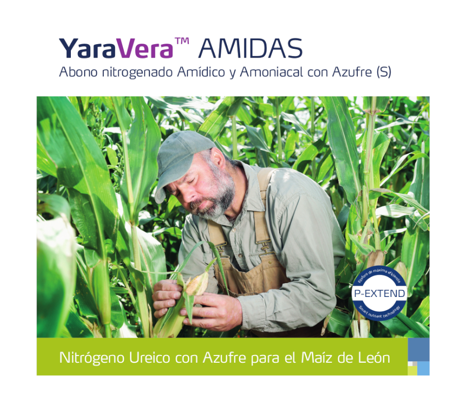 Promoción YaraVera Amidas