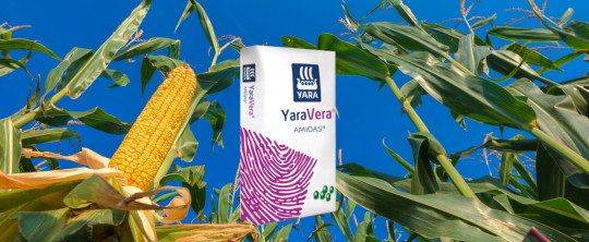 Comparativa entre Urea y YaraVera Amidas