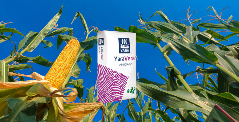 Comparativa entre Urea y YaraVera Amidas