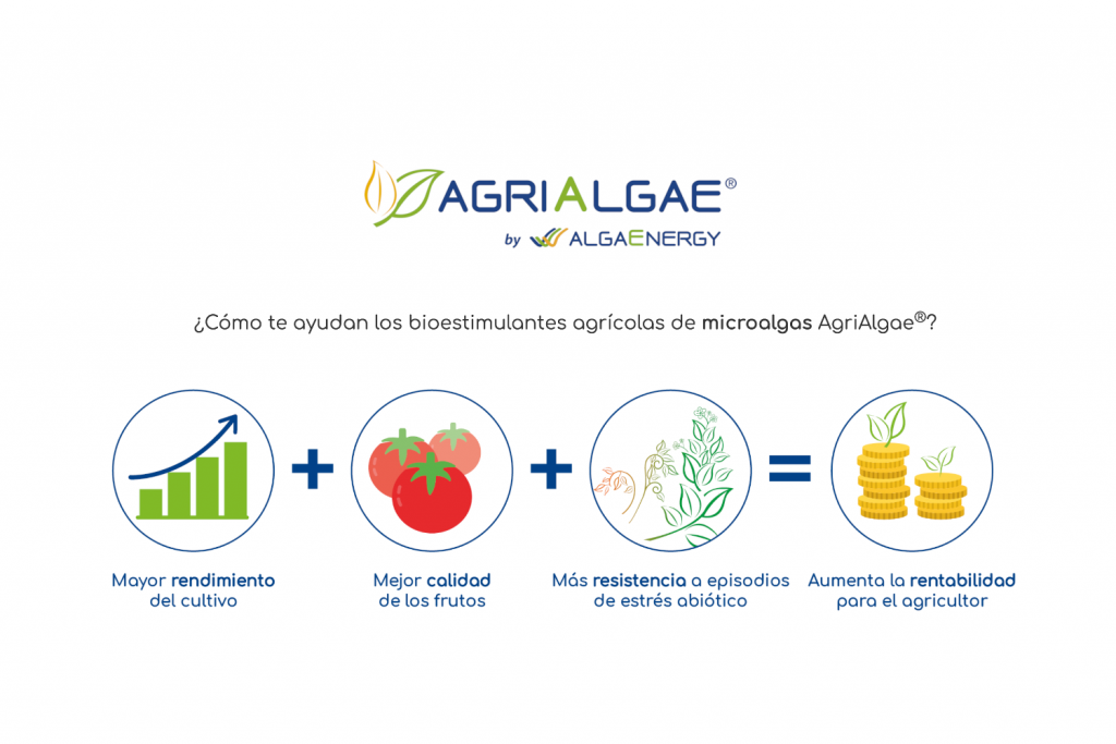 AgriAlgae de AlgaEnergy se une a Prodelesa