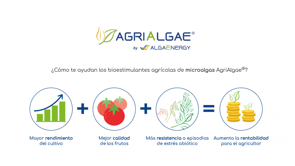 AgriAlgae de AlgaEnergy se une a Prodelesa