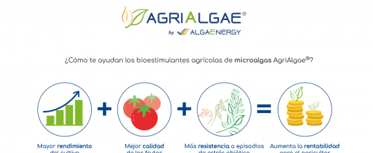 AgriAlgae de AlgaEnergy se une a Prodelesa