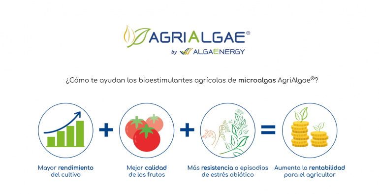 AgriAlgae de AlgaEnergy se une a Prodelesa